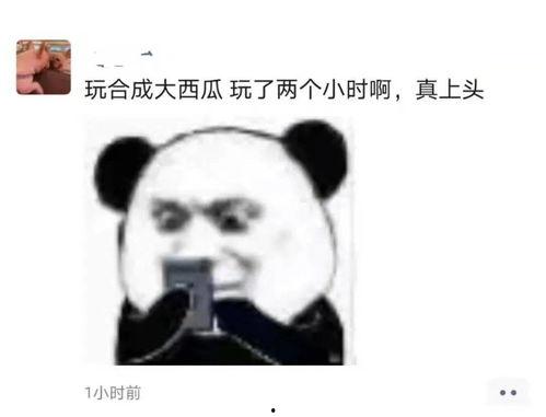 黑吃瓜每日必吃大瓜图片,每日必吃大瓜，揭秘娱乐圈幕后风云