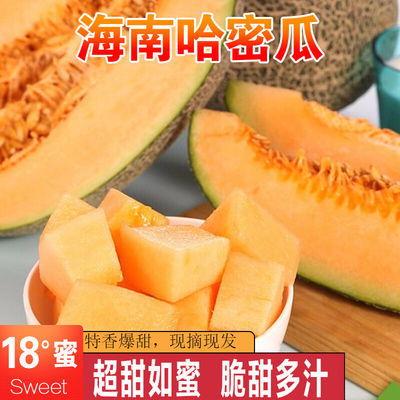 今日新鲜事哎蜜瓜,哎蜜瓜新鲜上市，尽享夏日清新滋味