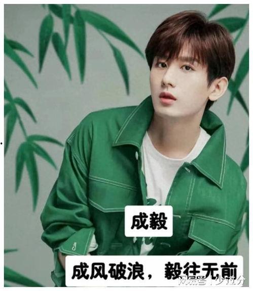 应援明星网红是谁啊,明星网红背后的神秘力量