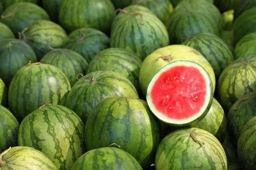 今日全球吃瓜,今日热点事件大盘点