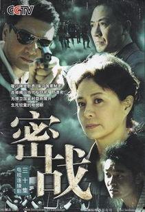 密战电视剧,隐秘战线上的生死较量
