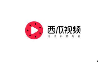 大瓜视频今日头条
