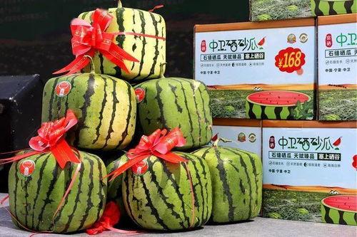 产地中卫硒砂瓜今日价格,产地直供，今日价格行情一览”