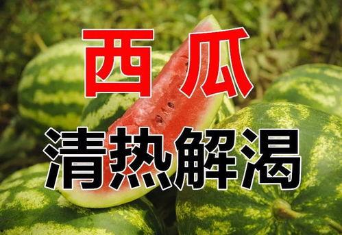 吃瓜今日不打烊下一句怎么接,娱乐圈幕后故事大揭秘