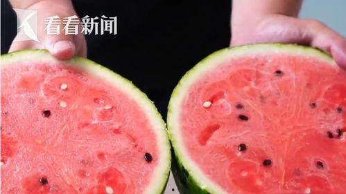 今日砍瓜价格多少钱一斤,行情波动，一斤几何？