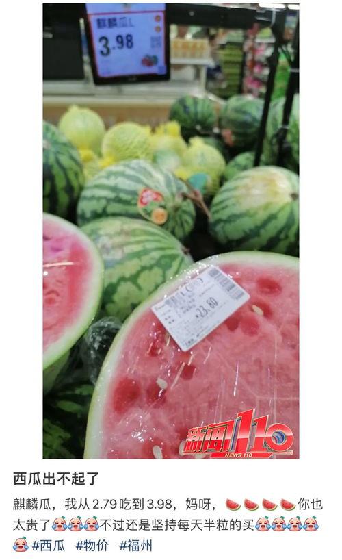 麒麟瓜价格今日行情多少钱,价格波动解析
