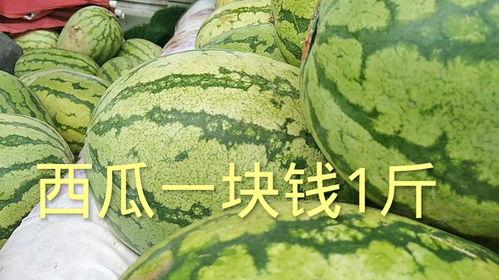 今日头瓜多少钱一斤,一斤多少钱？