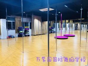 明星网红舞蹈主播排名,明星网红舞蹈主播排名揭晓