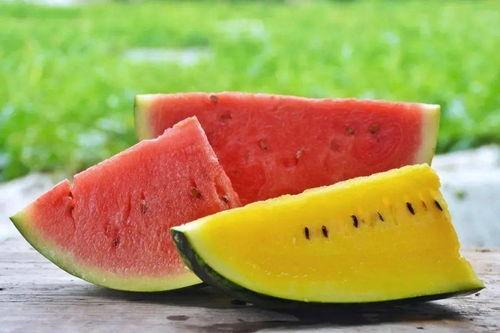 吃瓜中心今日大瓜视频,今日大瓜视频幕后真相大曝光！