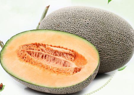 今日现切哈密瓜活动文案,尽享夏日甜蜜盛宴”