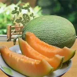 乌鲁木齐哈密瓜今日头条,今日头条聚焦甜蜜果实，品味新疆特色
