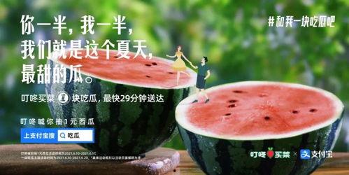 今日吃瓜文案句子,揭秘娱乐圈最新热点事件