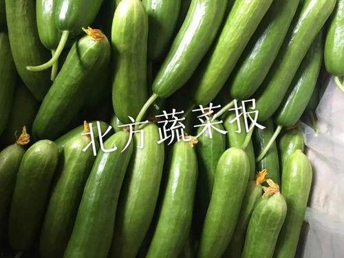 今日瓜茄价格最新行情,价格波动与供需分析