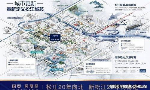 如何发掘明星网红产品市场,挖掘潜力，引领潮流