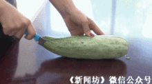 今日羊角蜜瓜价格行情,甜蜜波动，市场动态一览