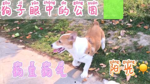 今日又是忙着吃瓜的一日,忙碌吃瓜者的欢乐时光