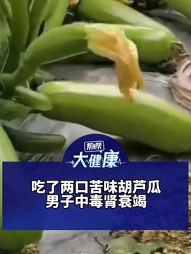 今日苏瓜,探寻苏瓜产业的最新动态与趋势