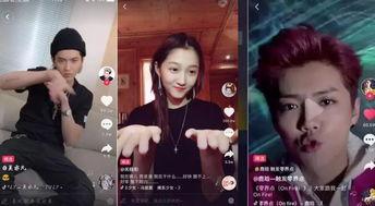 可以找明星网红的平台,明星网红聚集地大盘点