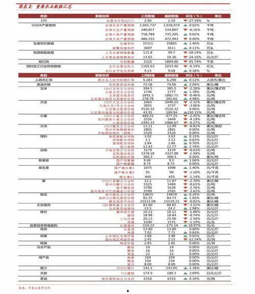 2024北海哈密瓜今日价格行情,品质与价格的完美结合”