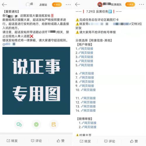 黑瓜网今日最新消息,今日热点新闻概览