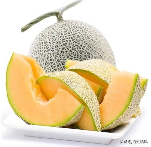 江南水果哈密瓜今日行情,甜蜜上市，价格波动解析