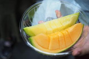 江南水果哈密瓜今日行情,甜蜜上市，价格波动解析