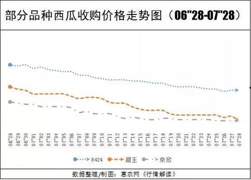 次瓜价格今日行情,涨跌背后的市场动态”