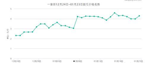 次瓜价格今日行情,涨跌背后的市场动态”