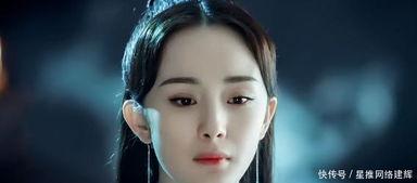 杨姓明星网红是谁,揭秘网络红人杨氏家族的璀璨星途