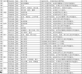 明星网红违法行为分析,警示与反思