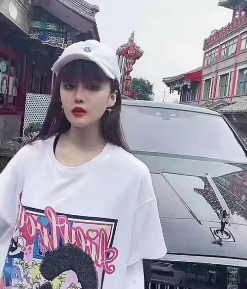 明星网红违法行为分析,警示与反思