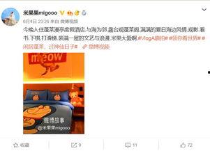 欢迎明星网红打卡的句子