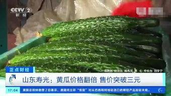 寿光小瓜今日价格,今日行情一览”