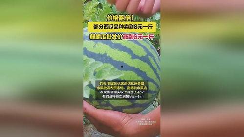 麒麟瓜今日最新价格,探秘夏日消暑佳品的新行情
