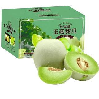今日海南玉菇瓜价格行情,今日市场动态一览
