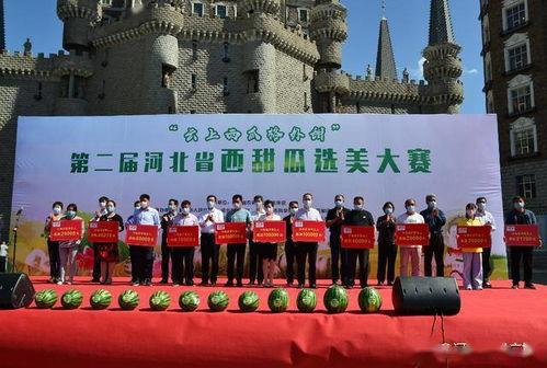 今日河北新乐田瓜,河北瓜果新秀，甜蜜绽放田园风光