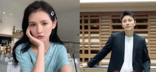 对明星网红经济的看法,明星效应下的商业新风口