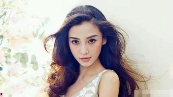 对明星网红经济的看法,明星效应下的商业新风口