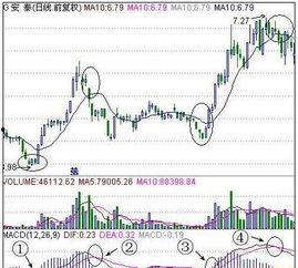 小白瓜今日行情走势图分析,今日走势图深度解析