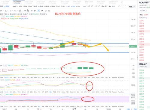 小白瓜今日行情走势图分析,今日走势图深度解析