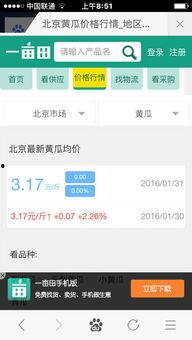 今日瓜价查询,市场动态一览