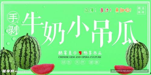 小吊瓜今日头条视频,揭秘瓜农的智慧种植秘诀