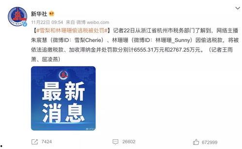 明星网红偷逃税款,税务监管与公众舆论的双重压力