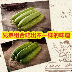 玉瓜管理今日新鲜事,揭秘今日新鲜事