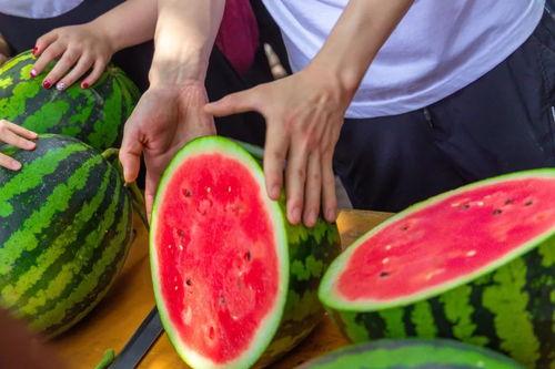 在线吃瓜今日,揭秘网络热点背后的真相