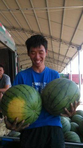 今日瓜报,娱乐圈最新爆料，揭秘明星幕后故事