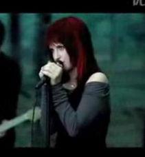 明星网红视频怎么找素材,跟随明星脚步，解锁内容创作新灵感