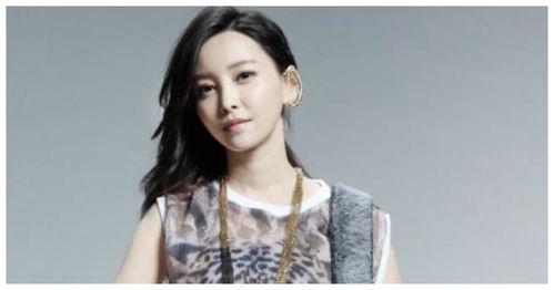 明星网红有哪些地方