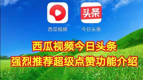 今日头条免费拿瓜