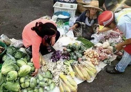 明星网红卖菜的是谁